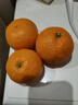 壹萌果蔬临海涌泉蜜桔【顺丰-多地次日达】蜜桔橘子水果中秋礼盒礼品 【尝鲜果】丨果径50-60MM【较甜】 5斤装【超值推荐-80%选择】净4.5斤 实拍图