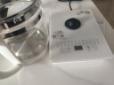 新飞（Frestec）多功能养生壶迷你办公室烧水壶玻璃泡茶壶恒温保温电热水壶黑茶煮茶器花茶壶煮水壶家用 经典款 实拍图