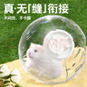 宠尚天 仓鼠跑轮球龙猫大号转轮带支架松鼠仓鼠金丝熊用品玩具 水晶跑球 蓝20cm 实拍图
