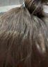 施华蔻（Schwarzkopf） 斐丝丽泡泡染发剂 流行潮色纯温和男女士植物染发泡沫染发膏网红 【甜美显白】粉玫甜棕4.5-68 染发剂 锁色 实拍图