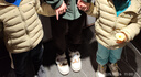 安踏儿童羽绒服男女大童小童2024冬季加绒保暖轻薄羽绒外套A72447907 实拍图