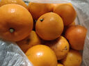 云南宾川高山沃柑纯甜沃柑树上熟新鲜橙子生鲜应季新鲜孕妇水果 净重4.5斤中果【果径60-65mm】 实拍图