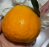 生活＆好管家 四川春见耙耙柑爆浆大果新鲜水果礼盒应季橘子现摘柑橘子桔子 3斤【尝鲜装】净重3斤 果径80-90mm【特大果】 实拍图