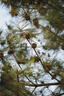 MEKE 55mmf1.4自动对焦镜头大光圈APS-C半画幅适用微单Z卡口Z30，E卡口ZVE10II，X卡口XT50 尼康Z卡口（现货) 52mm 实拍图