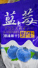 东北大兴安岭野外生蓝莓干无添加天然蓝莓果泡水上班族眼干酸涩 散装 特级1000g(二斤)袋装 实拍图