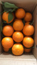 逮果重庆奉节脐橙纽荷尔春橙福本特级大果礼盒装时令新鲜孕妇水果橙子 净重9.3斤大果/75-80mm/15-20个 实拍图