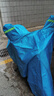 博沃尼克电动车防雨罩电动车车衣家用户外出行夏季防雨防晒防尘沙冬季2xl 实拍图