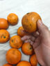 京喜加【双十一抢鲜】冰糖橙甜橙纯甜无酸水果 当季新鲜手剥橙现摘现发 净重2.5斤 带箱3斤热卖款普箱 实拍图