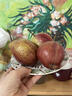 南步陕西彩虹梨 头茬网红现摘梨子脆甜多汁彩红梨七彩红啤新鲜梨水果 5斤 精品大果【13-16枚】 实拍图