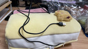 梦多福热水袋充电暖手宝石墨烯无水暖手袋速热暖宝宝送老婆女友生日礼物 石墨烯速热丨恒温24H丨无充电宝 肤感皮质丨AI智能控温丨一袋多用 实拍图