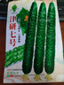 花语笙默四季播种蔬菜种子家庭种菜盆栽田园地栽菜种易种植易生长瓜果菜籽 津研七号黄瓜种子（约45粒） 原厂封装1袋 实拍图