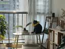 路斯猫条猫零食咪零食能量主食猫草宠物湿粮成猫幼猫通用猫咪湿粮猫饭 鸡肉羊奶牡蛎12g*20支/袋 实拍图