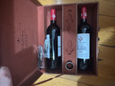 奔赋澳洲进口红酒S10赤霞珠干红葡萄酒750ml*2瓶红酒礼盒双支装 实拍图