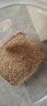 worbush【开盖断电-东莞生产】家用电动粉碎机中药材全自动研磨机调料大料打粉机商用三七磨粉机五谷杂粮 【卡扣锁盖】2500克容量食品级不锈钢纯铜大电机 实拍图
