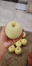 柚公主新疆西域香妃【JD速运】天山雪梨冰糖梨新鲜梨子辅食应季礼盒装 甄选果【5斤装】 实拍图