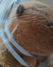 熊猫熊卡皮巴拉玩偶公仔毛绒玩具娃娃水豚哪吒土拨鼠生日毕业礼物女孩 实拍图