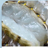 粤海湾南海巨型黑虎虾超大特大号 老虎虾大虾生鲜海鲜礼盒年货送礼虾类 超大8头 800g(净重)  长22-25cm 顺丰空运/深圳|青岛|武汉发货 实拍图