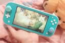 任天堂（Nintendo） NS主机Switch Lite 掌上便携游戏机 绿松石色 实拍图