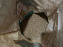 德沃多肥料 赤玉土2.5kg(3-6mm) 花盆透气水培无土栽培花卉多肉养花铺面石 实拍图
