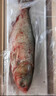 查干湖鱼现货冬捕有机胖头鱼4.6-5.4斤1条 春节年货礼盒年夜饭 源头直发 实拍图