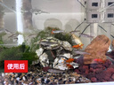 印俏 净水活性炭袋装饮用水自来水井水过滤家用净水器滤芯椰壳碳水厂 2斤小粒低碘 实拍图