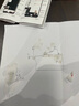 帆睿 苹果x屏幕总成适用iphone7 8p七6splus八6内外屏11液晶12显示屏XR xsmax换手机屏 适用苹果8/SE2屏幕总成（白色） 带配件 实拍图