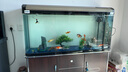 松宝中大鱼缸客厅家用落地懒人生态免换水带柜子一体自循环金鱼水族箱 120CM鱼缸(含显示屏)+造景+木柜 实拍图