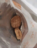 金唐八荒古田猴头菇150g 菇质嫩白肉厚鲜嫩 炖汤煲汤材料 实拍图