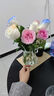 漫生活花瓶玻璃冰心款摆件束口室内宿舍鲜花仿真花干花插花瓶水养富贵竹 实拍图