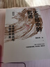 大变局中的机遇：全球新挑战与中国的未来 郑永年 著 中信出版社 实拍图