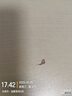 墨例折叠桌电脑桌椅长条桌子折叠书桌弹簧桌学习台式桌面试办公培训桌 双层120cm*50cm*75cm 实拍图