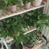 哈骆顿（HALODN）花架阳台花架置物架客厅花盆架室内花架子户外阳台多层落地式盆景 带滚轮3层花架黑（80*40*104） 【层高可调】 实拍图