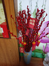 花行榜鲜枝年宵花卉 精品A级红色银柳80cm高30枝+灯笼2个+挂件源头直发 实拍图