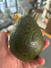 骑猴赶马云南牛油果当季新鲜水果鳄梨巨无霸森林奶油大果整箱送礼牛油果 单果150-180g【个个精选】 家庭 6个 实拍图