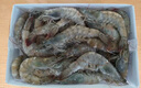 弹指鲜生虾盐冻大虾基围虾冷冻厄瓜多尔白虾夜宵烧烤食材毛重4斤净虾3.3斤 17-19cm 4斤(净重)  3040大虾 实拍图