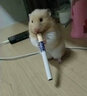 喵丽丝猫抓板猫爬架一体耐磨不掉屑剑麻抓柱耐抓逗猫棒猫咪玩具自嗨解闷 【品质特惠款】四合一猫抓柱50cm 收藏加购优先发货 实拍图