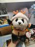 哈尔滨亚冬会吉祥物滨滨妮妮纪念品230mm滨滨吉祥物鄂伦春族服饰可穿脱娃衣送礼收藏精美礼物卡通玩具公仔装饰 实拍图