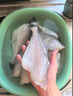 章大鲜耗儿鱼新鲜冷冻三去免处理马面鱼扒皮鱼剥皮鱼玻璃鱼生鲜鱼类海鲜 三去耗儿鱼1-1.4斤/条 3斤装 实拍图