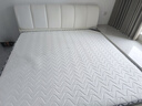 巴邦克床皮艺轻奢双人床1.8米2米现代简约婚床软包1.5米奶油风主卧大床 【奶油白床】+22CM乳胶弹簧床垫 2000mm*2000mm 实拍图