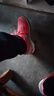 阿迪达斯 （adidas）中性TERREX DAROGA TWO 13 H.RDY户外鞋 HP8636 43 实拍图