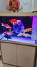 森森（SUNSUN）大型鱼缸底过滤水族箱客厅家用落地玻璃生态金鱼缸 【实时温显】1米长42cm宽（黑白灰可选） 实拍图