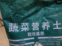 德沃多肥料蔬菜专用植物营养土25L园艺盆栽种菜土壤花土果蔬有机种植基质土 实拍图