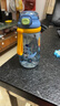 富光塔塔塑料儿童水杯tritan夏季吸管杯小学生大容量运动户外太空杯子 蓝色恐龙 500ml 实拍图