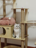 华元宠具（hoopet）大型猫爬架子猫树猫窝一体木质别墅非实木抓柱猫咪玩具太空舱剑麻 实拍图