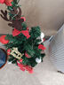 酷依宝圣诞树2025新款家用小型桌面摆件diy材料包装饰品圣诞节ins风装饰 实拍图