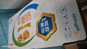 伊利1月伊利早餐核桃奶麦香250ml*24盒装整箱营养牛奶中老年早餐伴侣 【1月】早餐核桃奶250ml*24盒 实拍图
