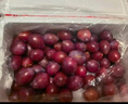 正宗新疆法兰西西梅新鲜当季时令水果礼盒喀什整箱应季孕妇甜李子 西梅2斤 精选中果 实拍图