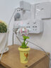 JAKi积木拼装植物日志奶茶杯绿植花卉办公桌拼装摆件儿童女生生日礼物 奶茶杯百合 实拍图