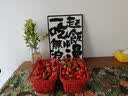 林氏家居北欧实木餐桌家用岩板餐桌小户型吃饭桌子饭桌歺桌椅家具LS003R4 【清仓|胡桃色】实木餐桌1.4m 实拍图