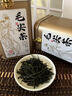 茶小赐茶叶绿茶毛尖茶 特级明前信阳原产嫩芽耐泡浓香型绿茶茶叶礼盒 【自饮送礼-特级毛尖礼盒250g】 实拍图